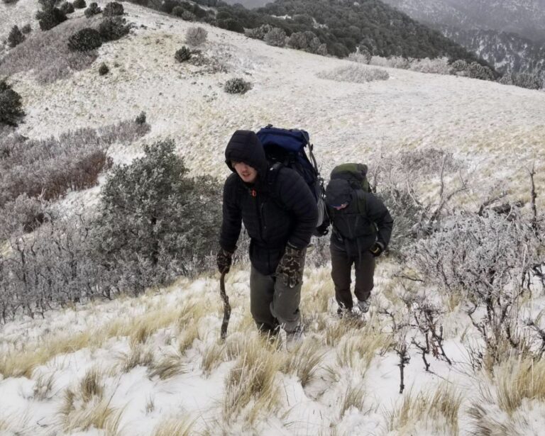 screenshot 2026 03 03 001610